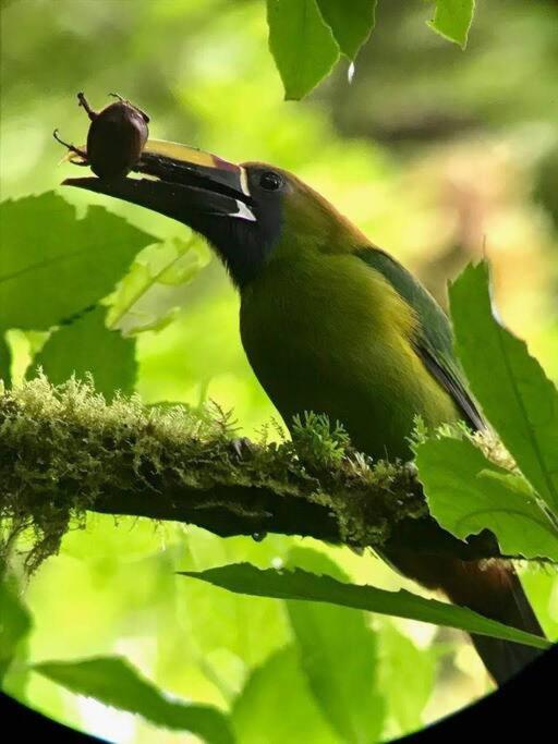 Casa Euphonia Monteverde Luaran gambar
